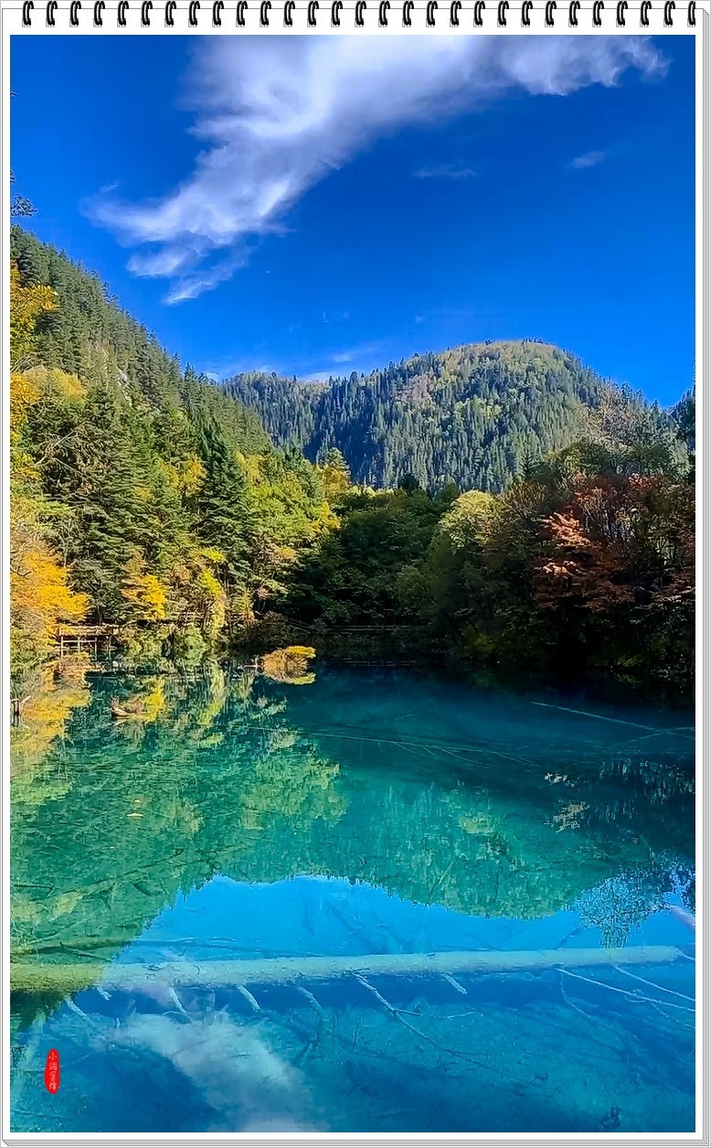 九寨沟风景 真实图片