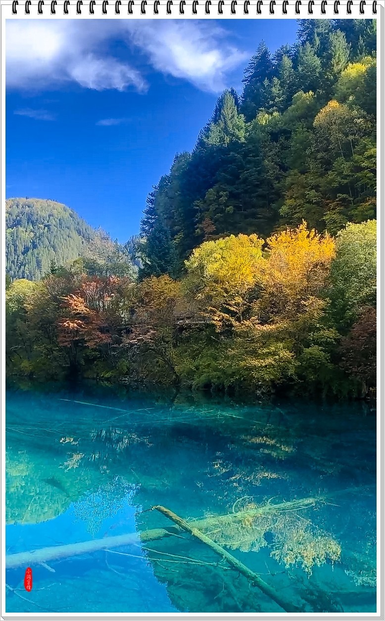 2023年九寨沟风光纪实抓拍1050