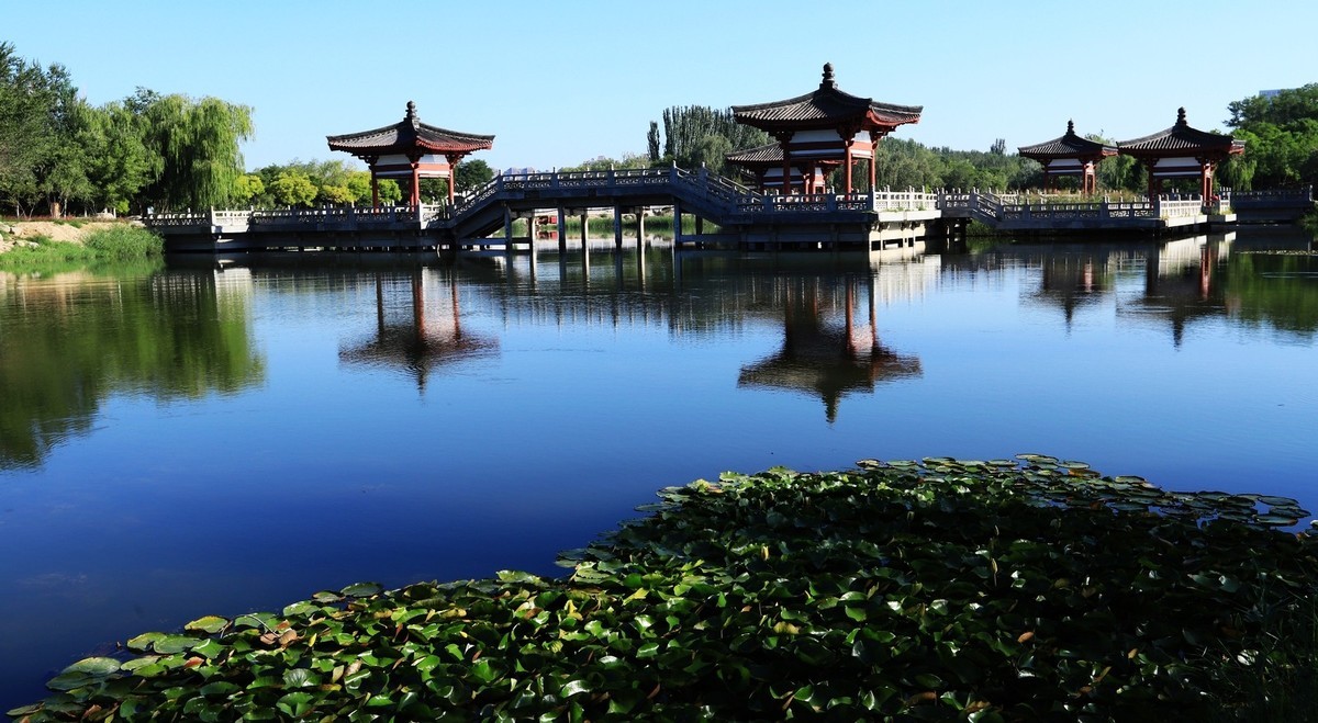 溜腿——溜机——溜乐趣（1）