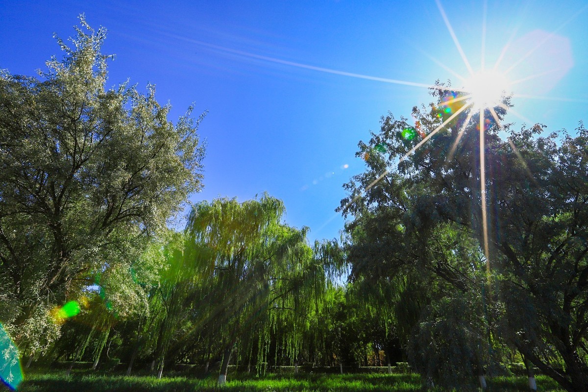 溜腿——溜机——溜乐趣（1）