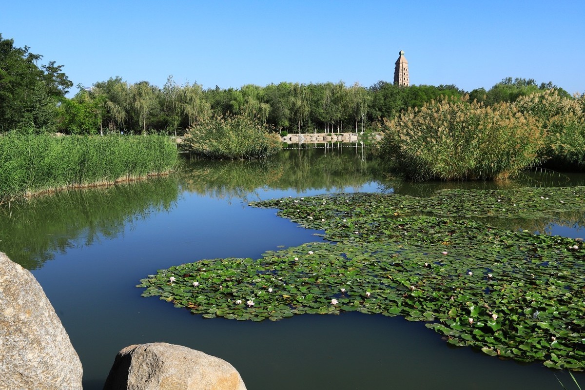 溜腿——溜机——溜乐趣（2）