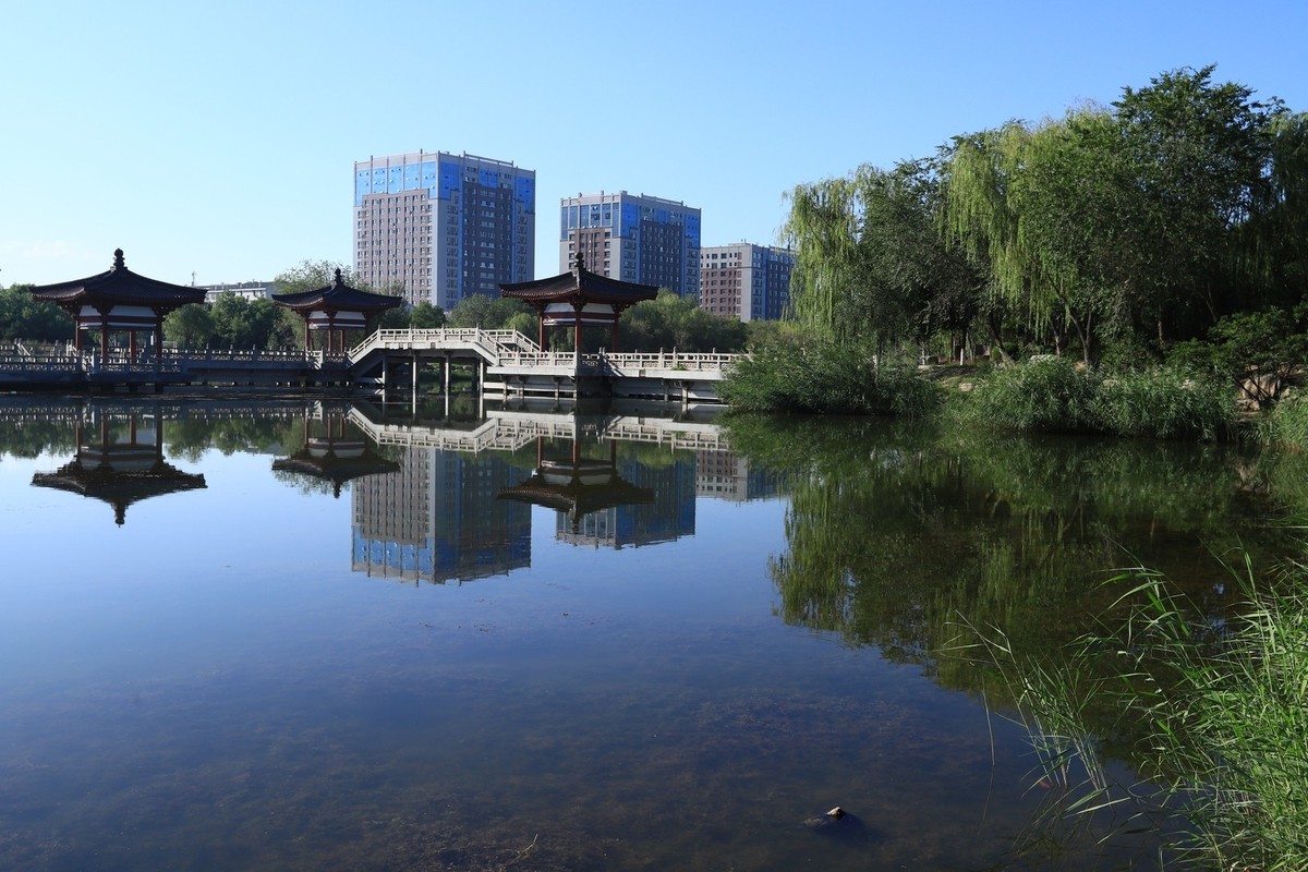 溜腿——溜机——溜乐趣（2）