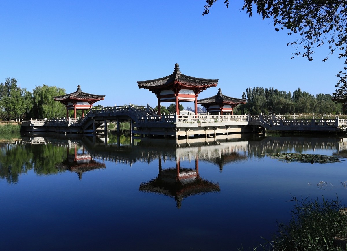 溜腿——溜机——溜乐趣（2）