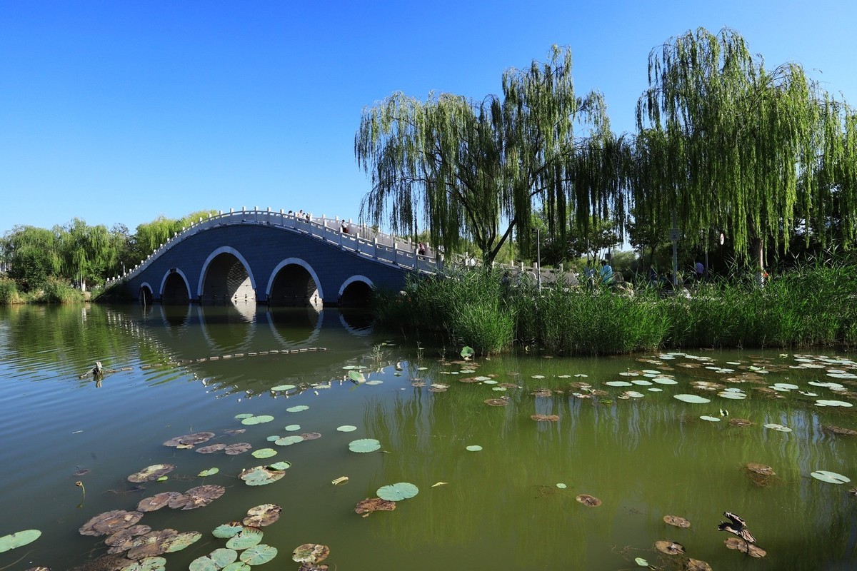 溜腿——溜机——溜乐趣（2）