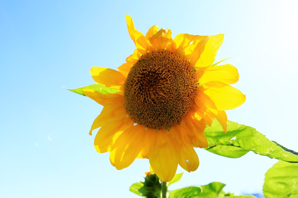 溜腿——溜机——溜乐趣（2）