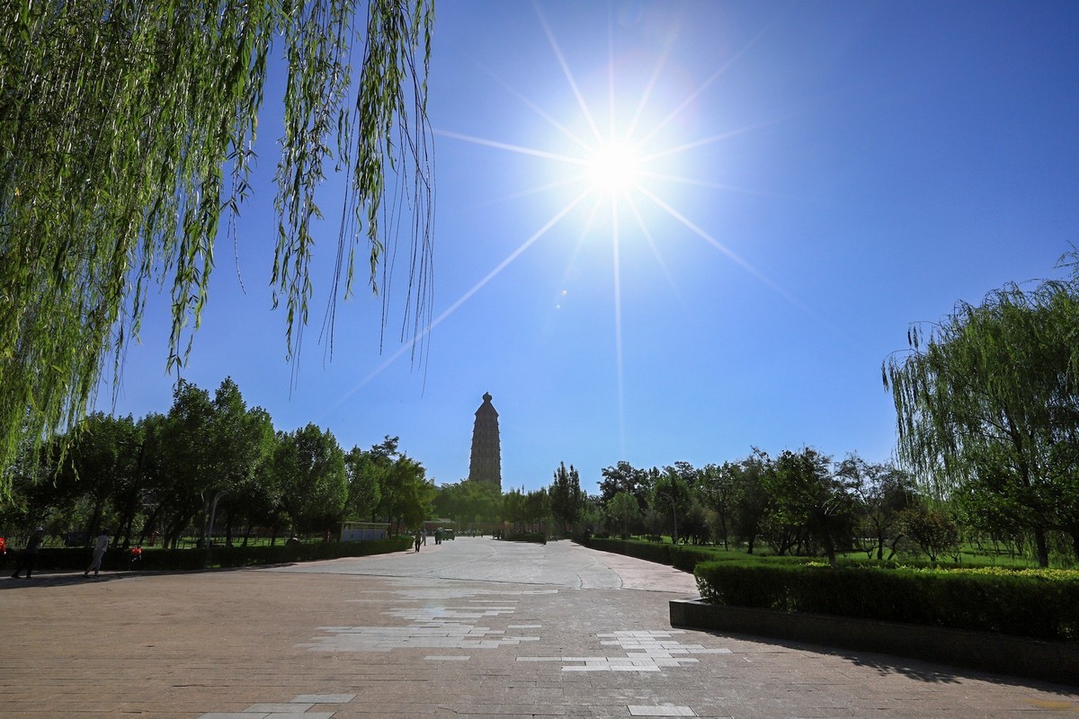 溜腿——溜机——溜乐趣（2）