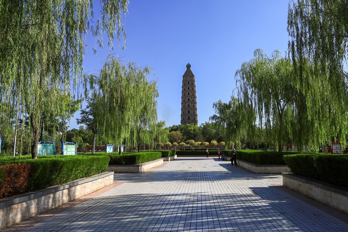 溜腿——溜机——溜乐趣（2）