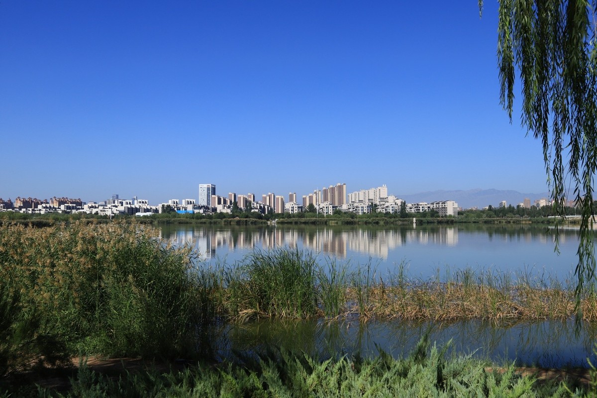 溜腿——溜机——溜乐趣（2）