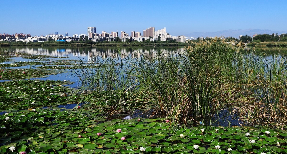 溜腿——溜机——溜乐趣（2）