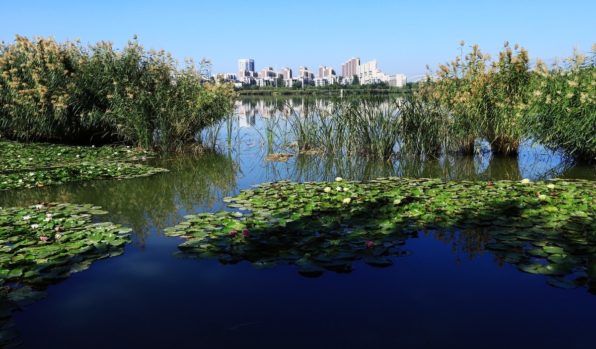 溜腿——溜机——溜乐趣（2）