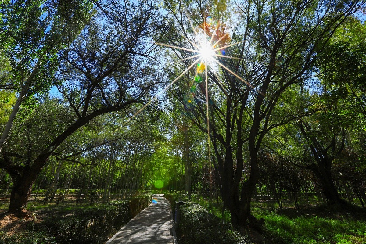 溜腿——溜机——溜乐趣（2）