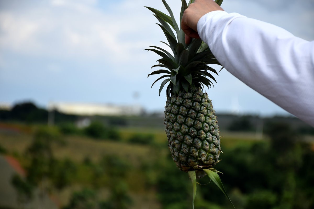 2024夏 海南环岛行（25）粤海铁路轮渡