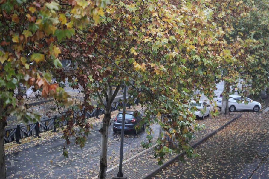 疫情防控的洛阳涧西区景华路印象