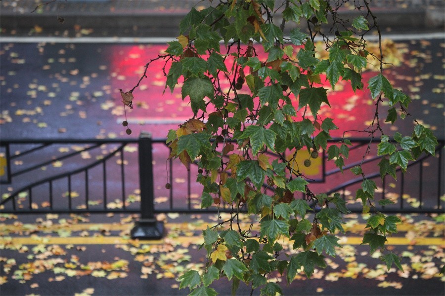 疫情防控的洛阳涧西区景华路印象