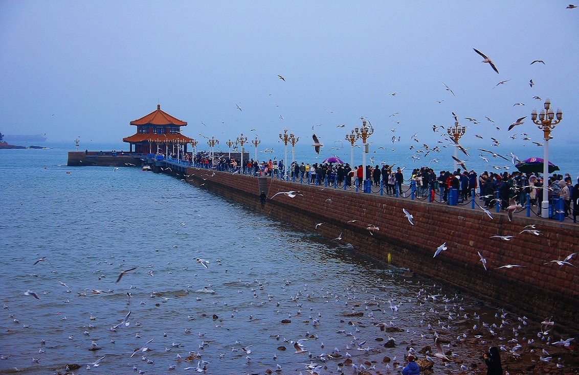 奇想黑白片抓拍扫街《古装美女，风景，花草》