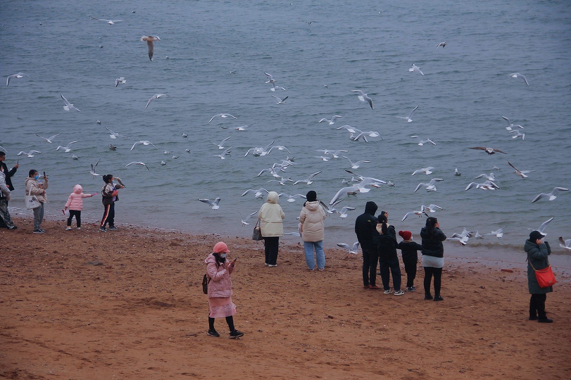 奇想黑白片抓拍扫街《古装美女，风景，花草》