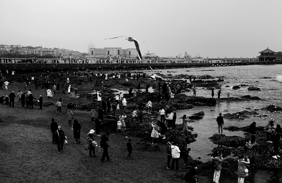 奇想黑白片抓拍扫街《古装美女，风景，花草》