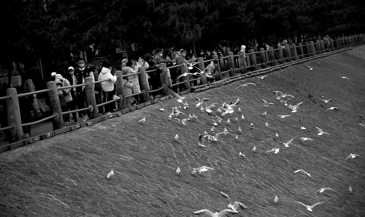 奇想黑白片抓拍扫街《古装美女，风景，花草》