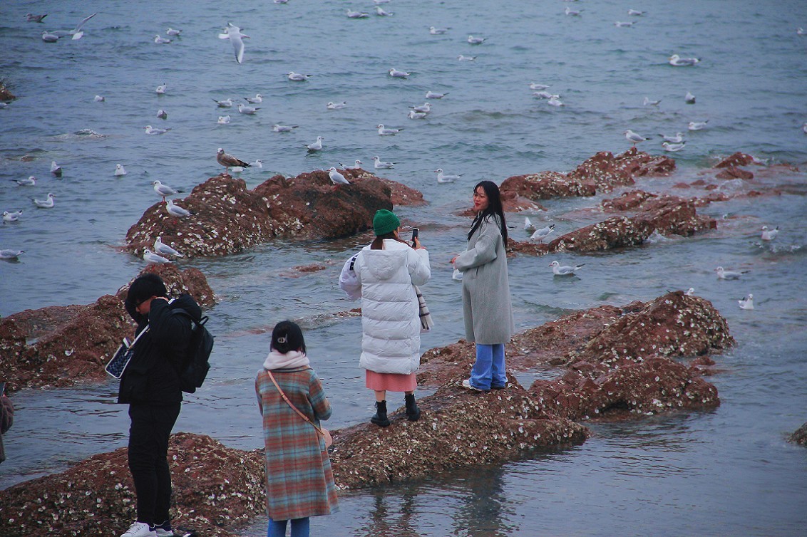 奇想黑白片抓拍扫街《古装美女，风景，花草》