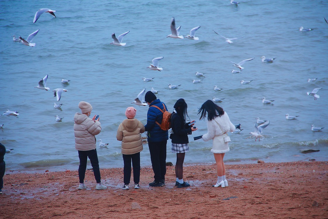 奇想黑白片抓拍扫街《古装美女，风景，花草》