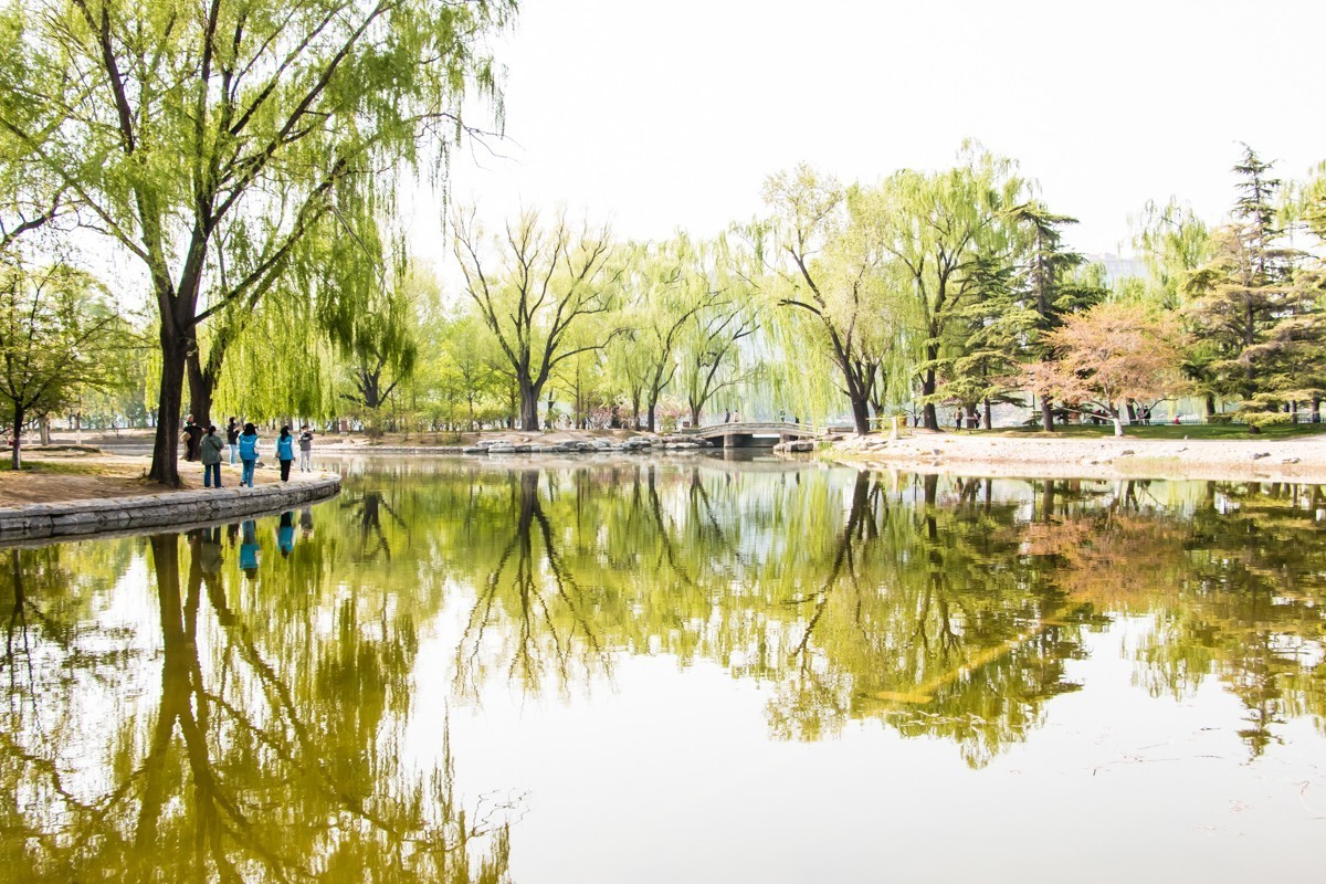 【鏡頭裡】第1454號:北京玉淵潭公園春日風光(一)