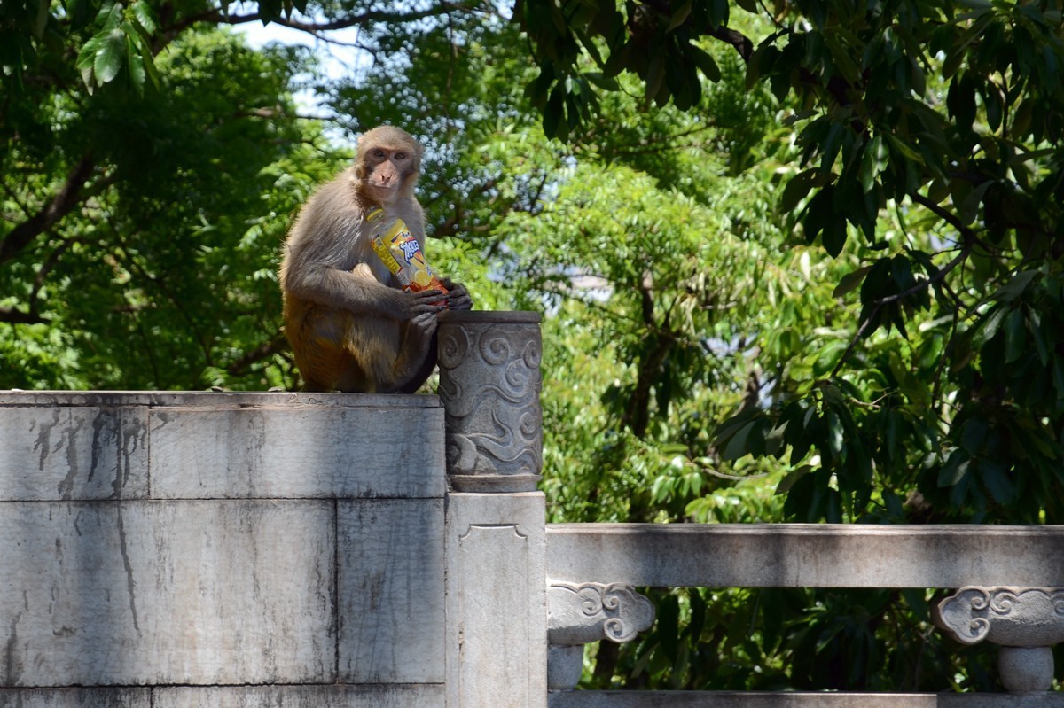 西昌泸山光福寺