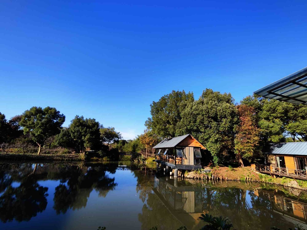 西溪湿地景区