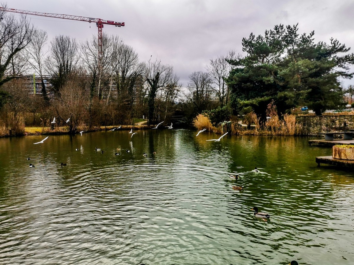 绿地80湖公园（瑞士）