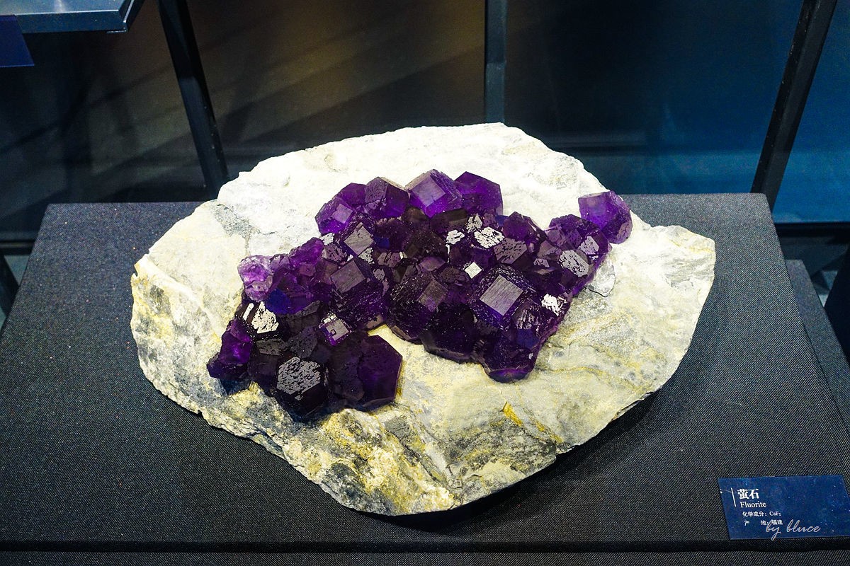 浙江省地质博物馆纪实【下】