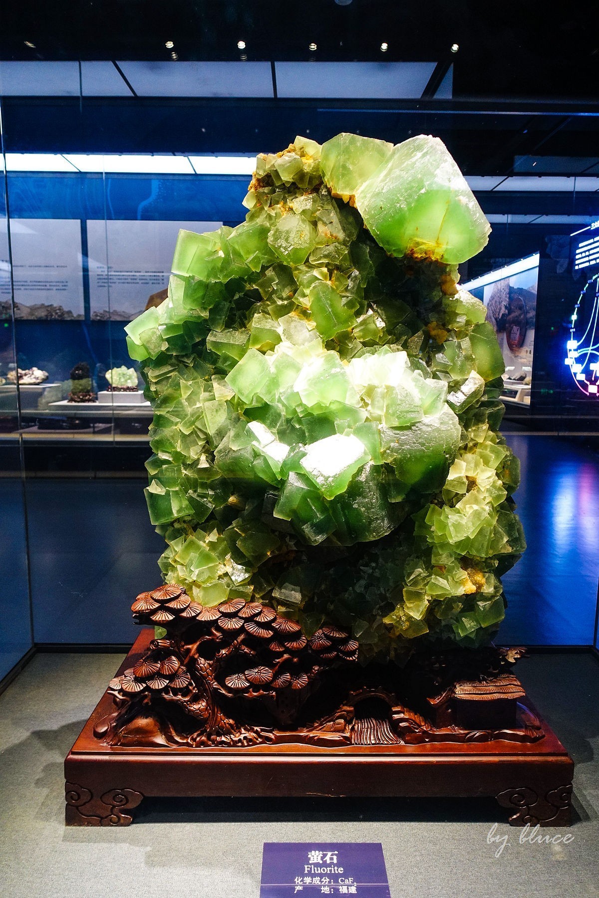 浙江省地质博物馆纪实【下】