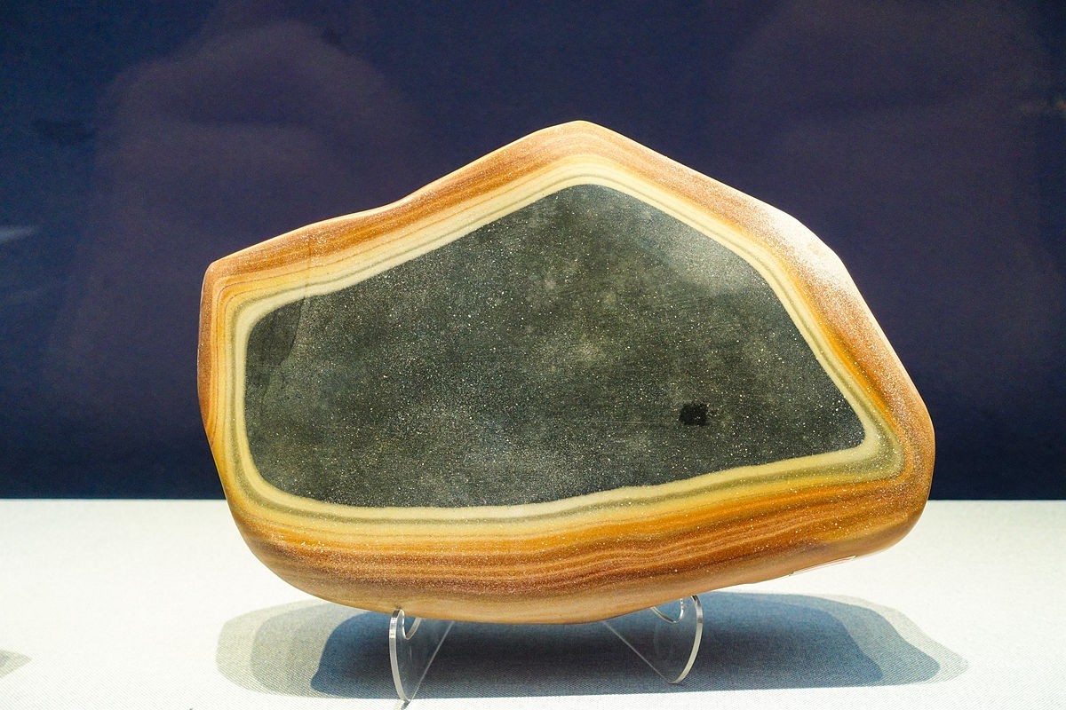 浙江省地质博物馆纪实【下】