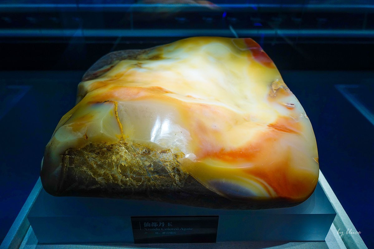 浙江省地质博物馆纪实【下】