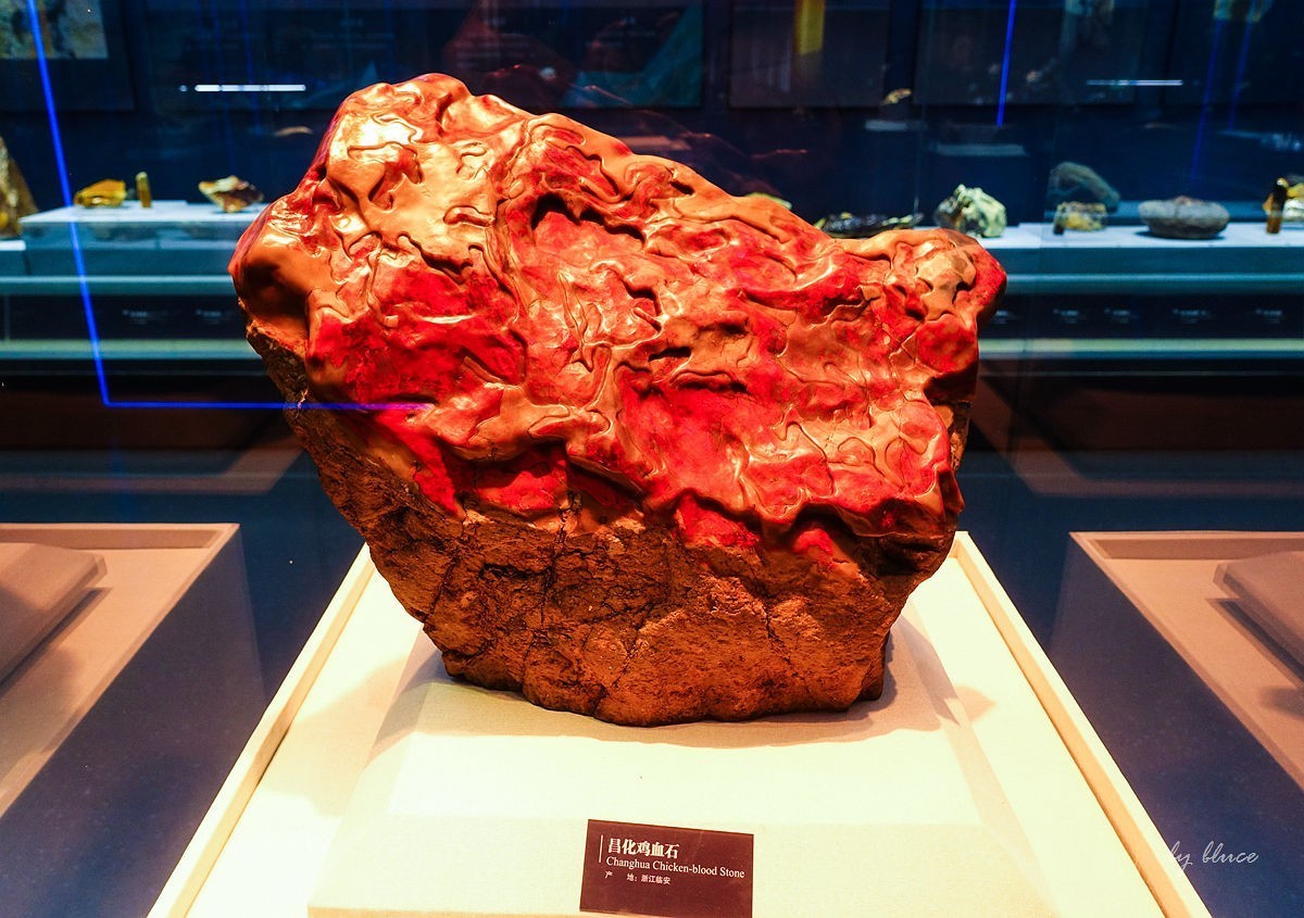 浙江省地质博物馆纪实【下】