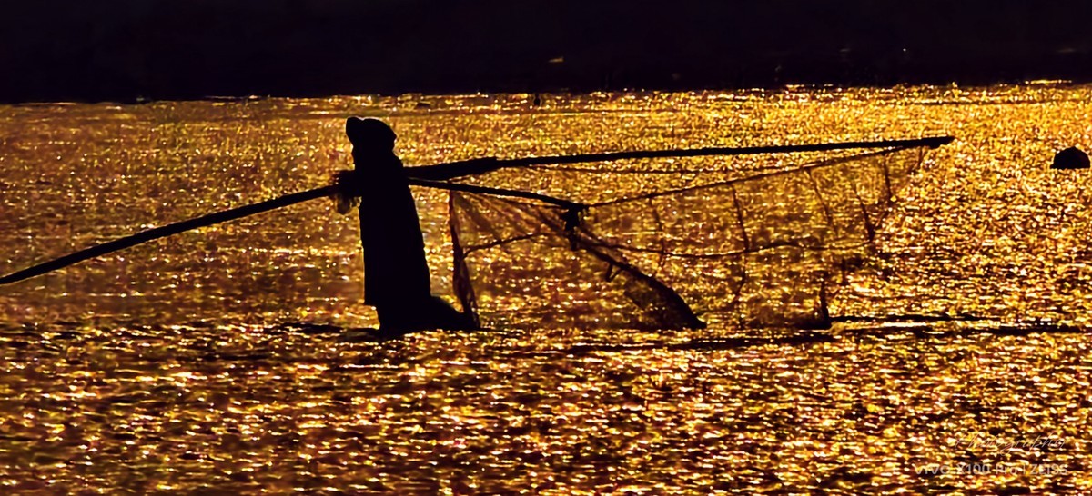 赶海