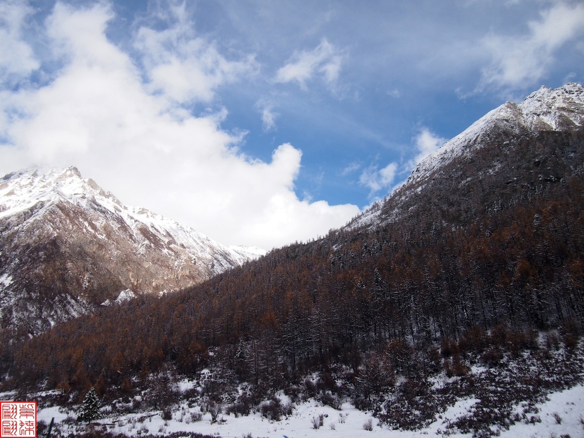 2024.11寻秋（31）