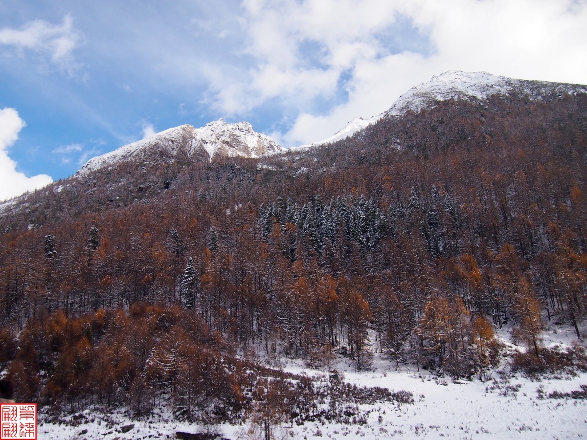 2024.11寻秋（31）