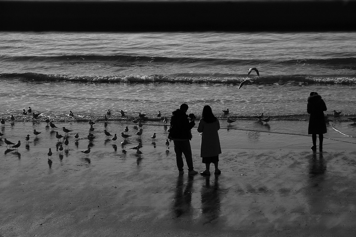 奇想黑白片抓拍扫街《古装美女，风景，花草》