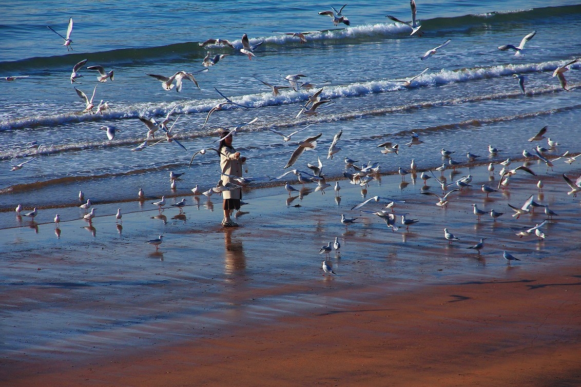 奇想黑白片抓拍扫街《古装美女，风景，花草》