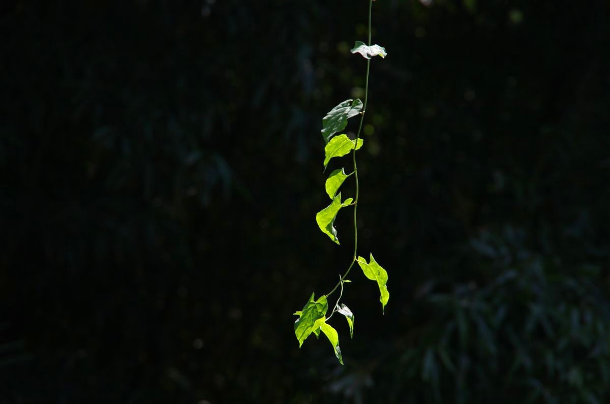 江苏盱眙第一山游记-3