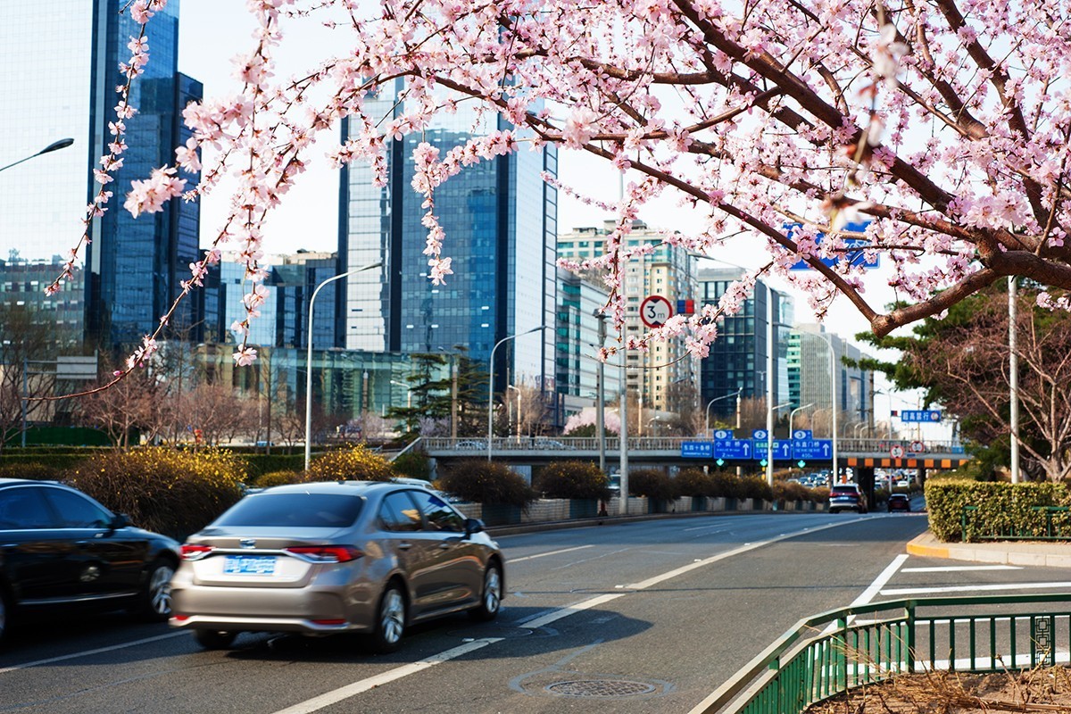 春回京城第二组