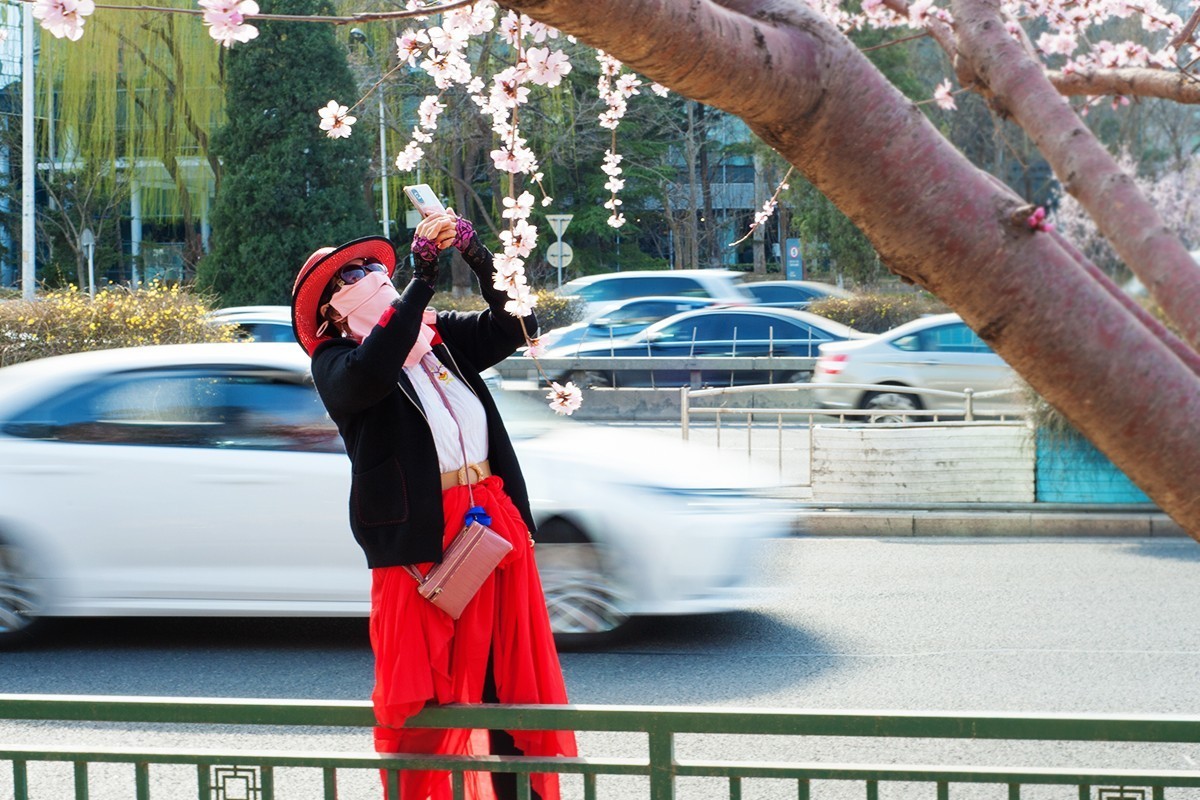 春回京城第二组