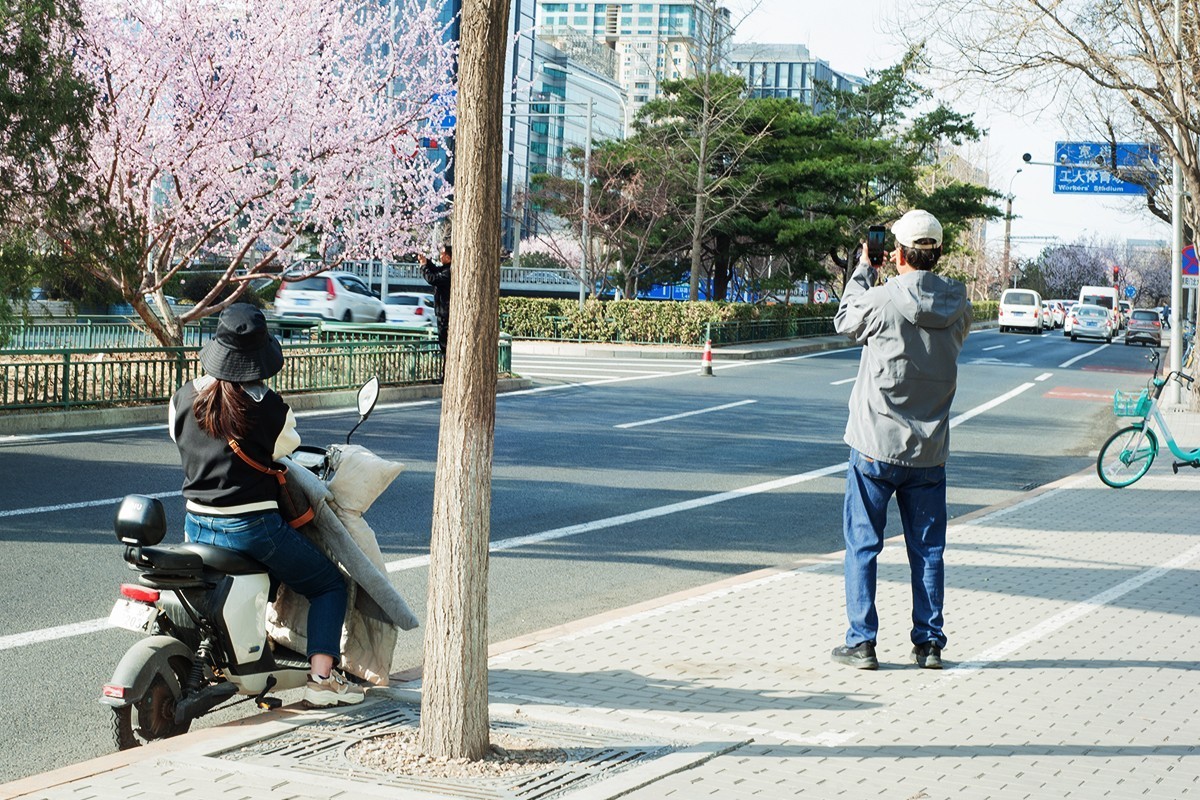 春回京城第二组