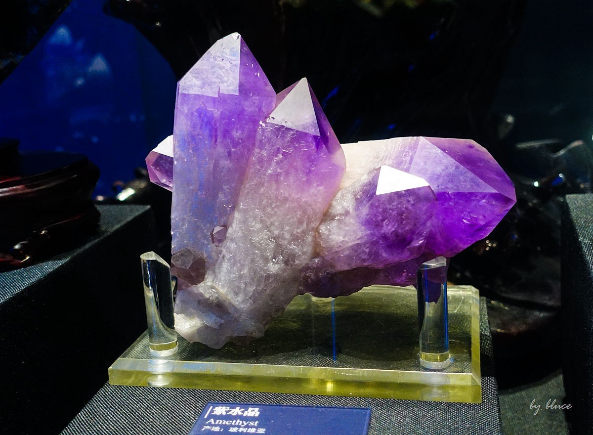 浙江省地质博物馆纪实【下】