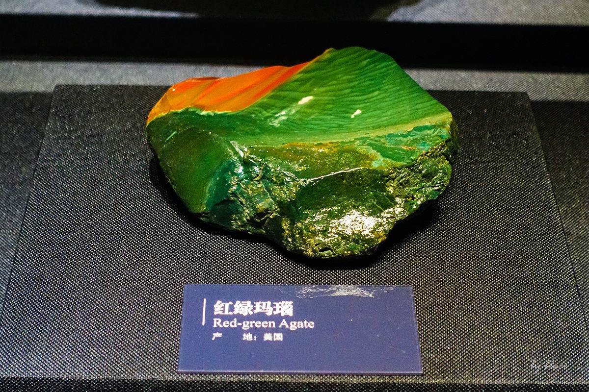 浙江省地质博物馆纪实【下】