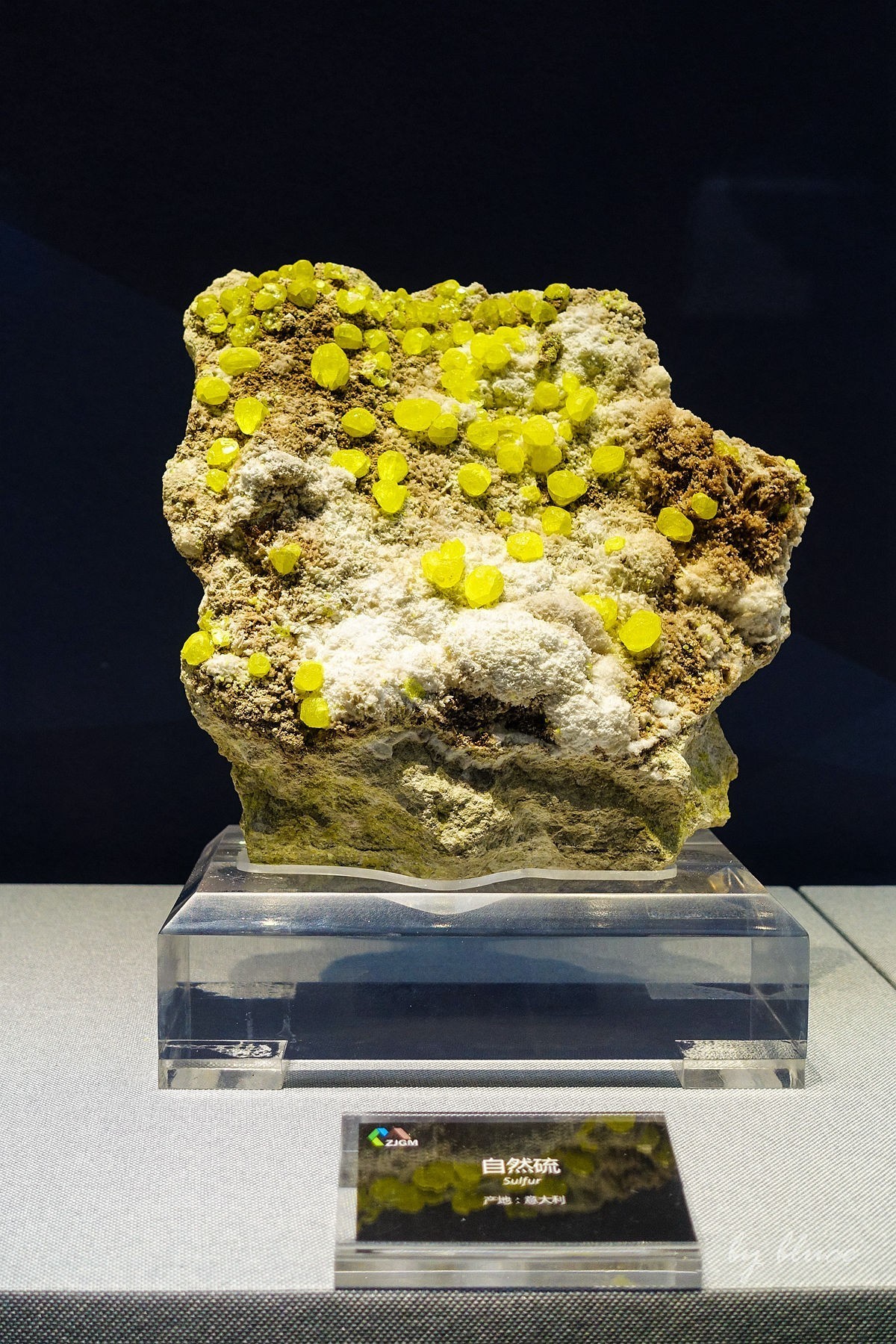 浙江省地质博物馆纪实【下】