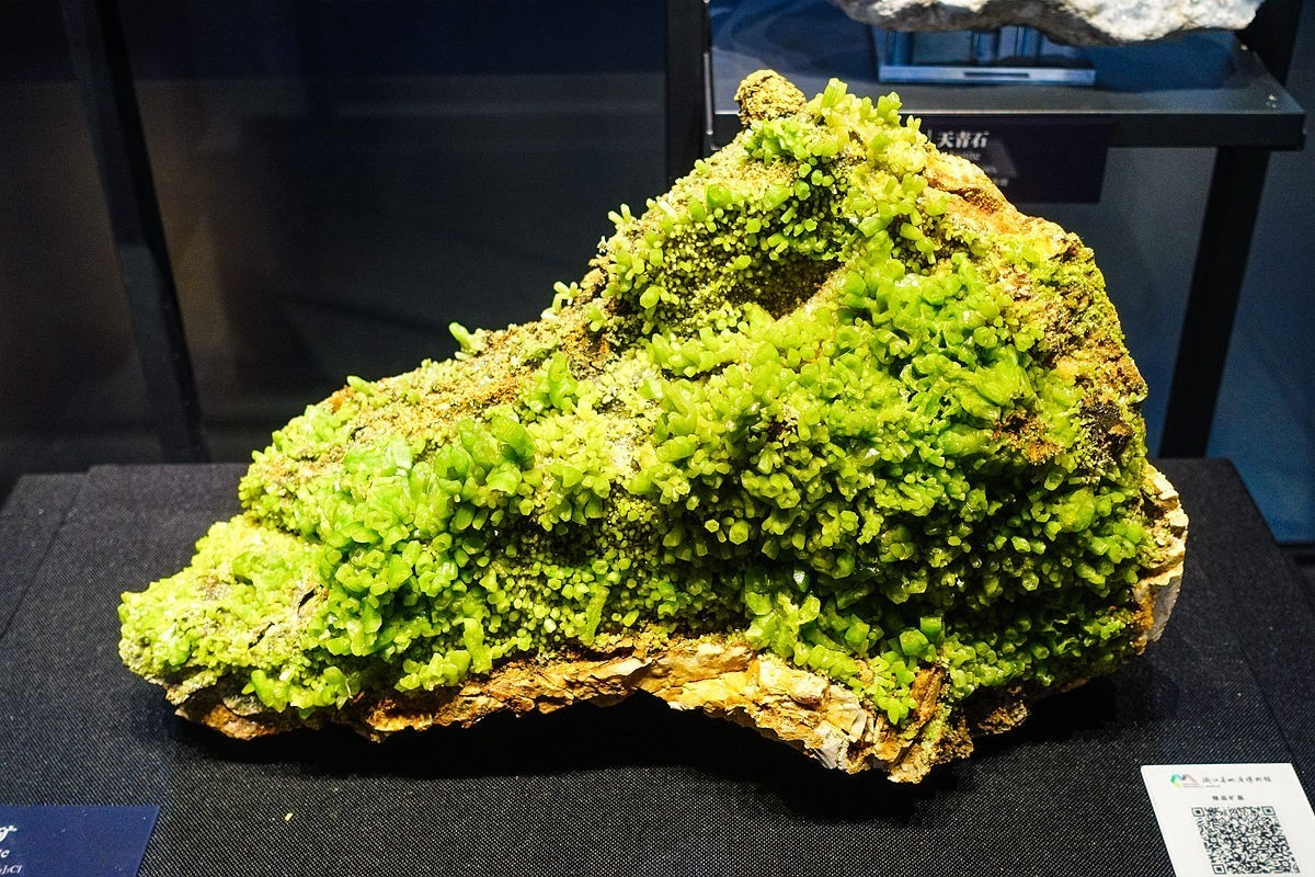 浙江省地质博物馆纪实【下】