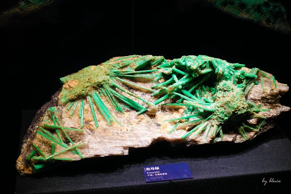 浙江省地质博物馆纪实【下】