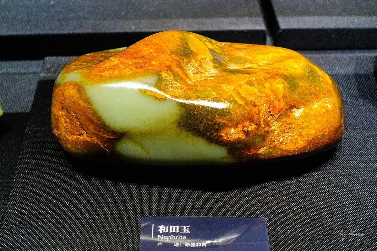 浙江省地质博物馆纪实【下】