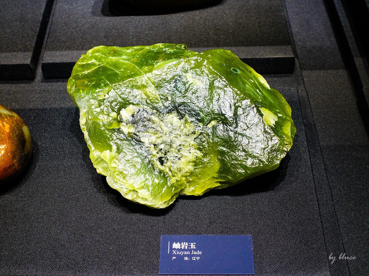 浙江省地质博物馆纪实【下】