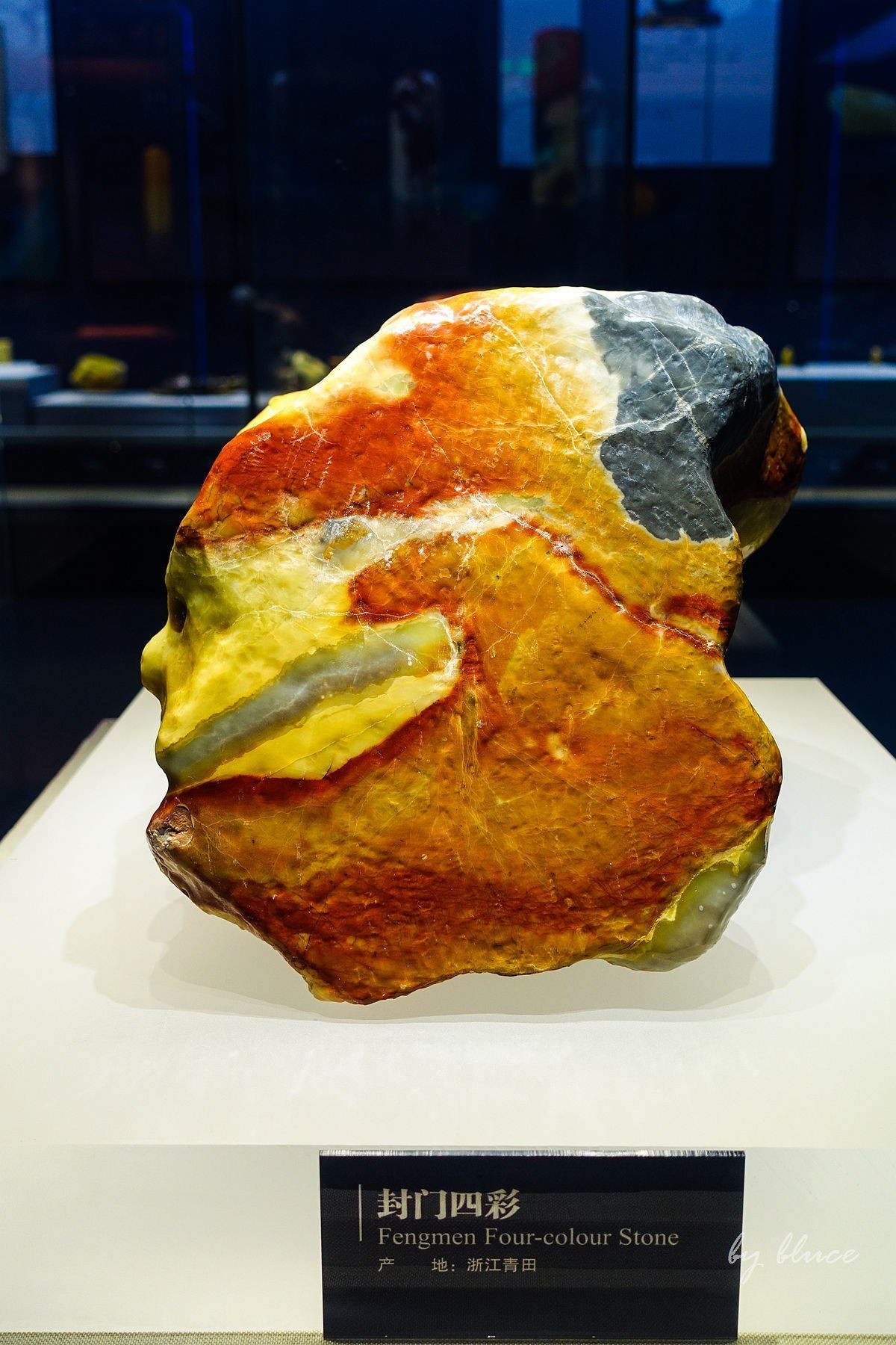 浙江省地质博物馆纪实【下】